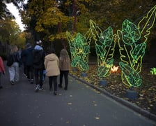 Wystawa Garden of Lights: Dzika Azja we wrocławskim zoo, październik 2024